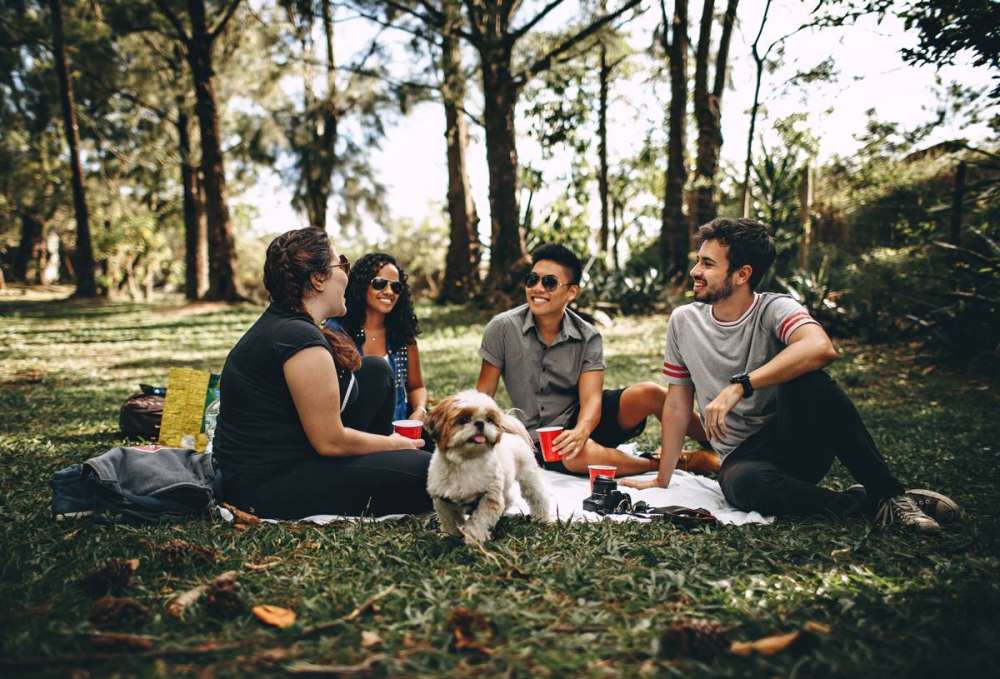 ¿Cómo ser más sociable?